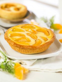 Obstkuchen-Aprikose vom Minikuchen Bäcker